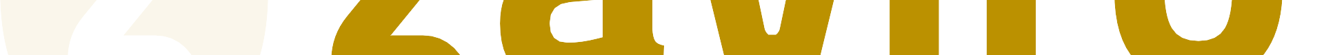 Logo footer