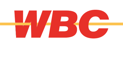 Zaviro Logo 1